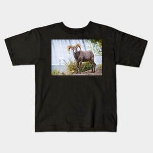 Bighorn sheep. Kids T-Shirt